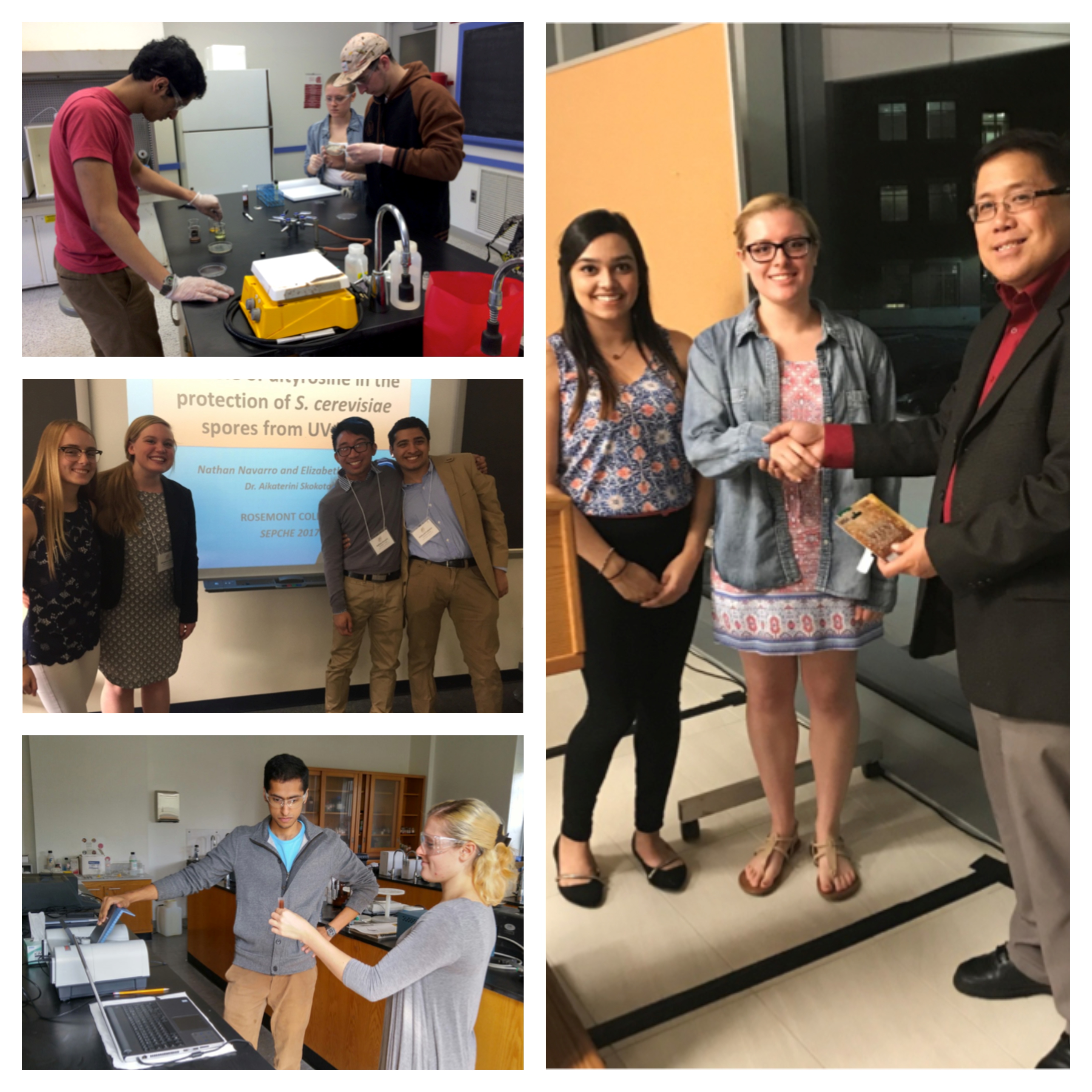 Collage of Rosemont chemistry students doing research and winning awards.