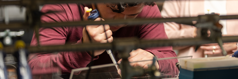 View of a male college student's hands conducting a laboratory assignment. He wears a long-sleeve burgundy shirt.