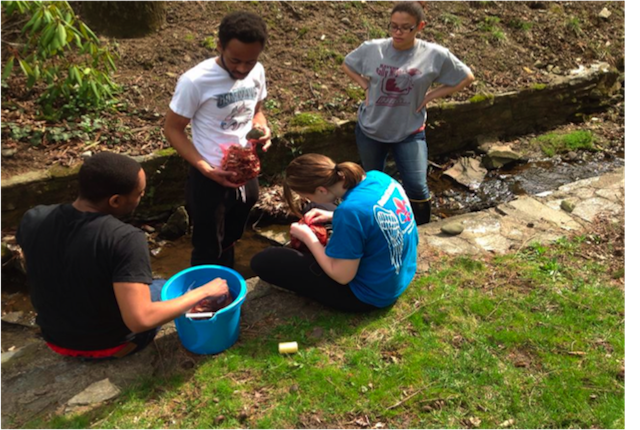 Stream Team undergraduate research.